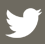 Twitter Logo